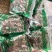 威灵仙中药材威灵仙质量好价格低批发各种中药材