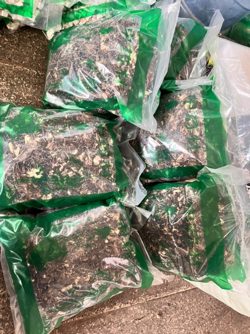 威灵仙中药材威灵仙质量好价格低批发各种中药材