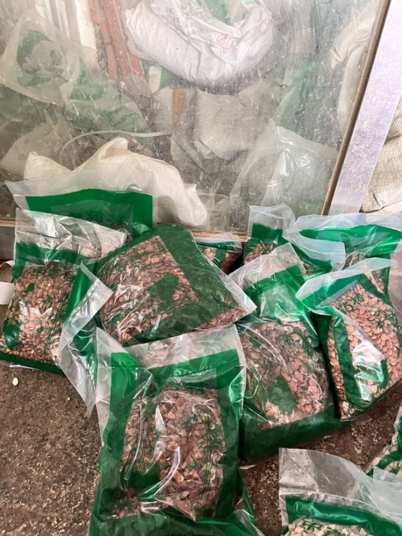 炒桃仁产地山东农家自炒无硫正品保证