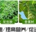 益富源玉米秸秆青贮发酵剂皇竹草牧草甜象草饲料发酵菌黄贮