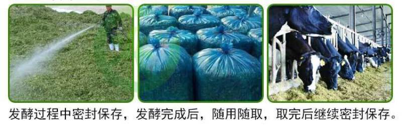 益富源玉米秸秆青贮发酵剂皇竹草牧草甜象草饲料发酵菌黄贮