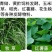 益富源玉米秸秆青贮发酵剂皇竹草牧草甜象草饲料发酵菌黄贮