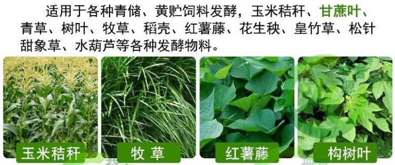 益富源玉米秸秆青贮发酵剂皇竹草牧草甜象草饲料发酵菌黄贮