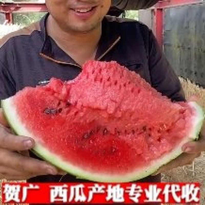 辽宁甜王西瓜产地报价今日价格一手货原精品代发