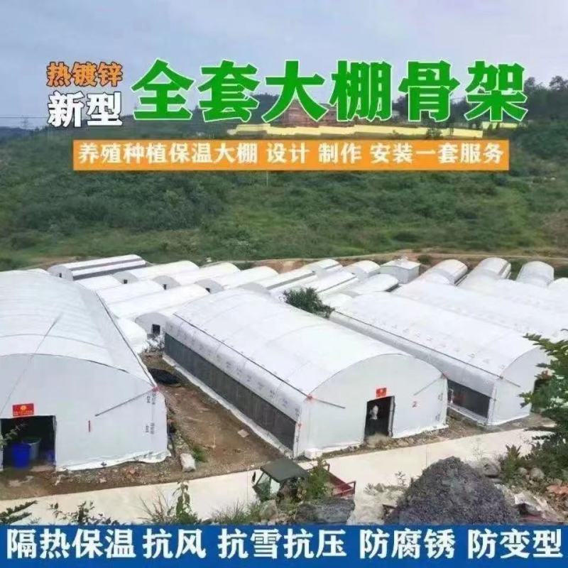天津全套养殖大棚骨架椭圆管包塑管全套大棚材料厂家直销