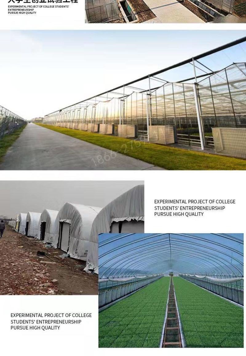 天津全套养殖大棚骨架椭圆管包塑管全套大棚材料厂家直销