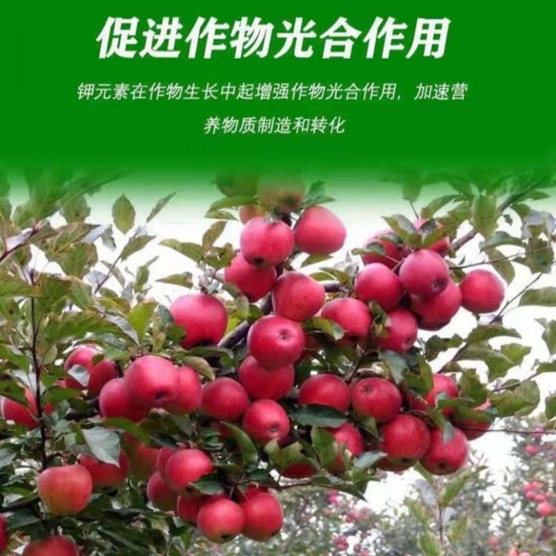 硫酸钾农业用钾肥速溶颗粒肥全水溶复合肥通用型肥料包邮