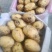 希森6号土豆量大从优商超直供欢迎咨询品质优良