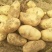 希森6号土豆量大从优商超直供欢迎咨询品质优良