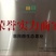 【诚信商家】纽荷尔脐橙九月红果冻橙长虹橙欢迎实地看货