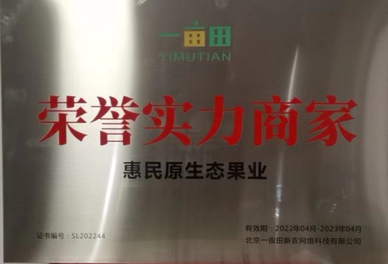 【诚信商家】纽荷尔脐橙九月红果冻橙长虹橙欢迎实地看货