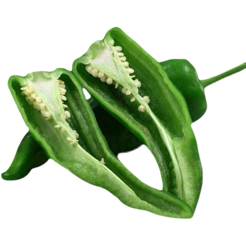 新鲜青辣椒，时令蔬菜现摘现发，温棚里的辣椒