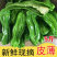 新鲜青辣椒，时令蔬菜现摘现发，温棚里的辣椒