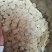 西洋参西洋参片花旗参片规格齐全优质软片干净无杂