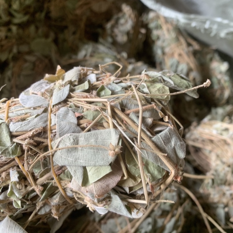 金钱草