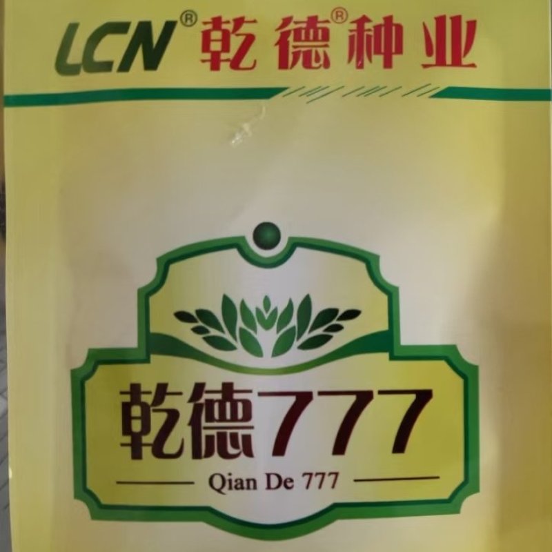 【全国包邮】热销乾德777黑油亮强雌大黄瓜原包装种子保质量