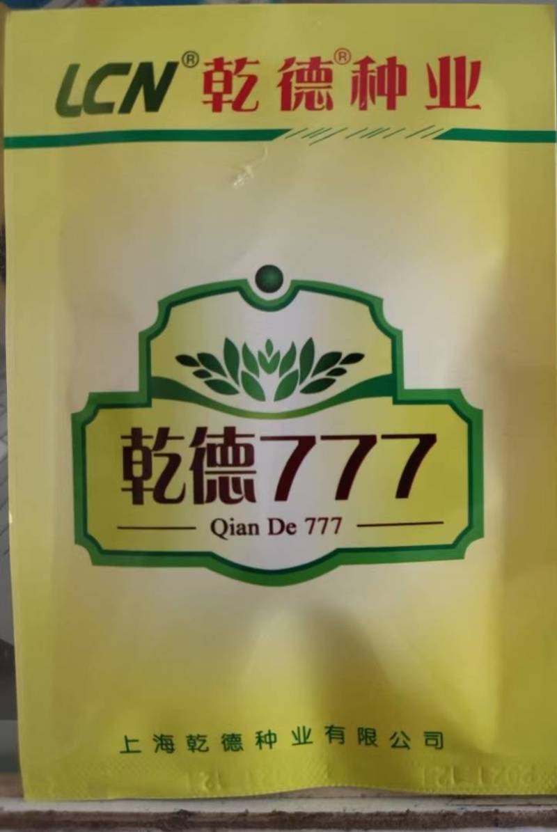 【全国包邮】热销乾德777黑油亮强雌大黄瓜原包装种子保质量