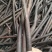 腊肠果，便秘果，大解果原产地批发