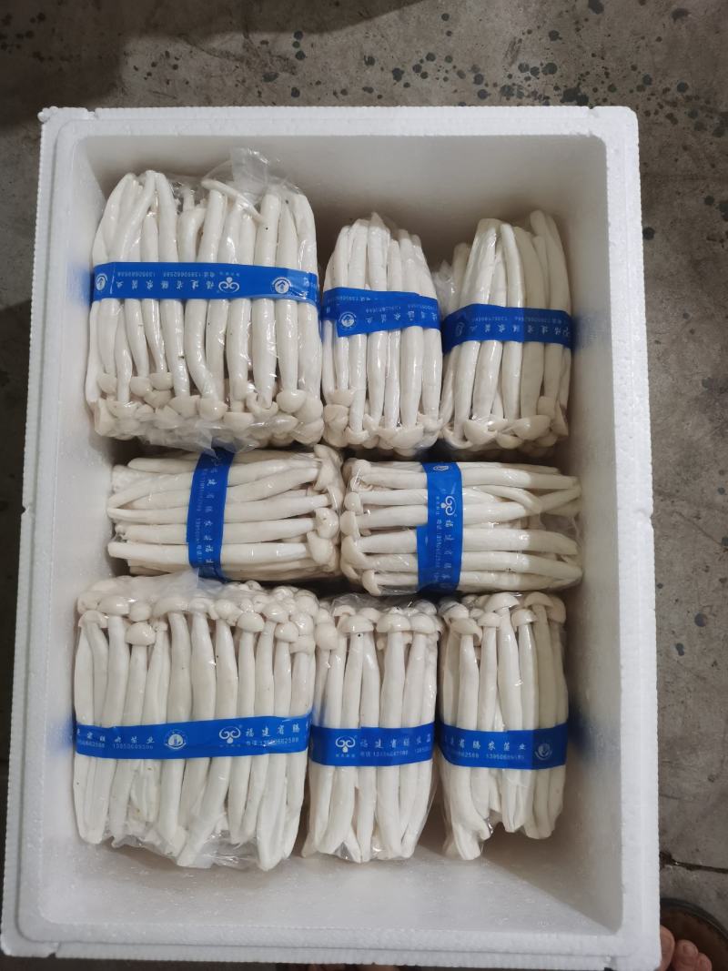 海鲜菇，厂地直销，货源充足，保质保量！