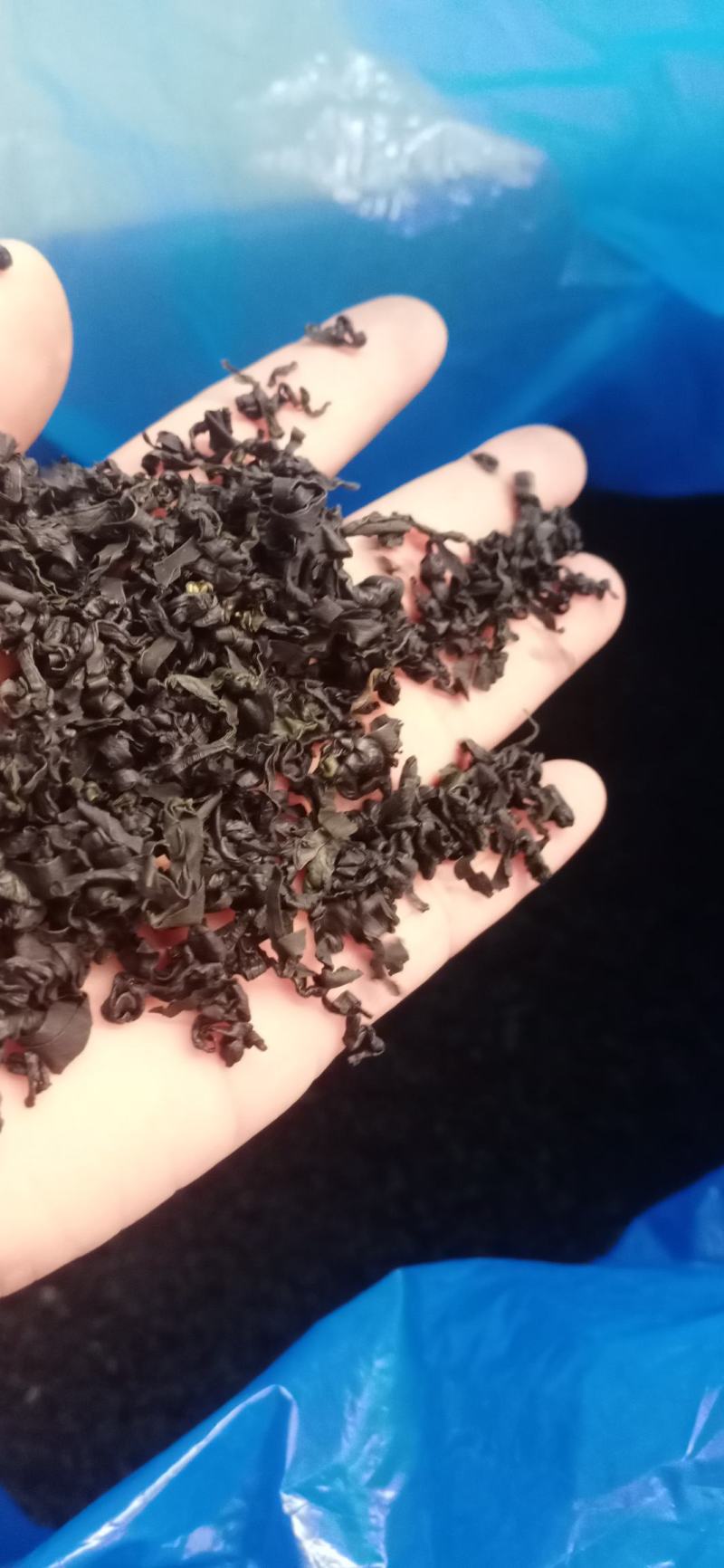 裙带菜十成干裙带菜海白菜一手货源批发经营