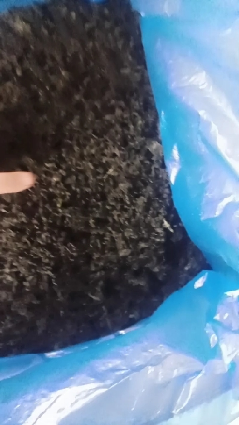 裙带菜十成干裙带菜海白菜一手货源批发经营