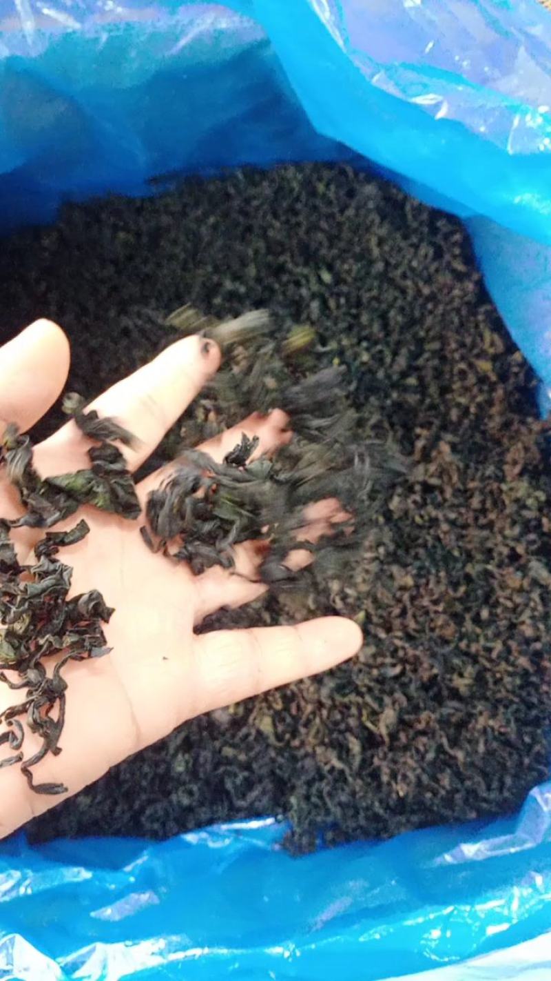 裙带菜十成干裙带菜海白菜一手货源批发经营