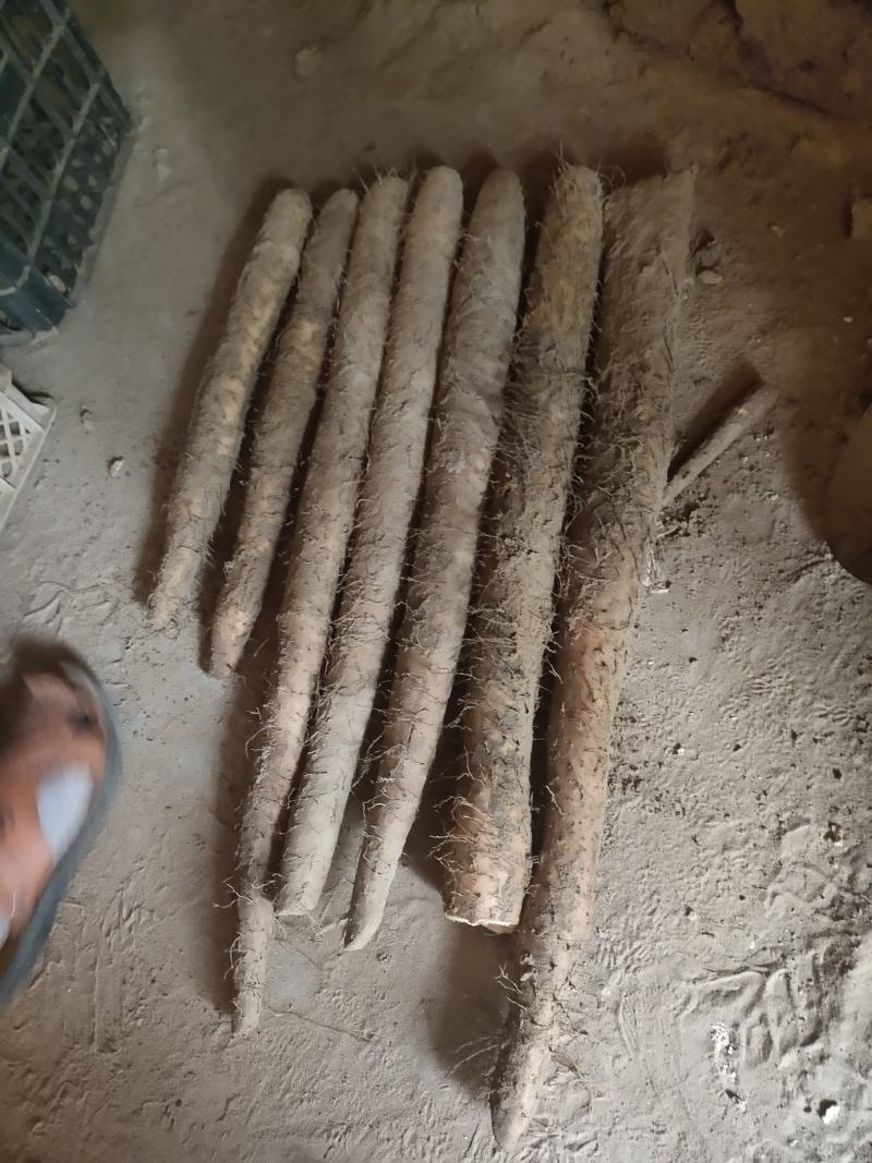 精品山药白玉山药，条形直，颜色好，特别粉，纯沙地