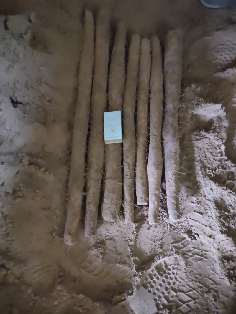 精品山药白玉山药，条形直，颜色好，特别粉，纯沙地