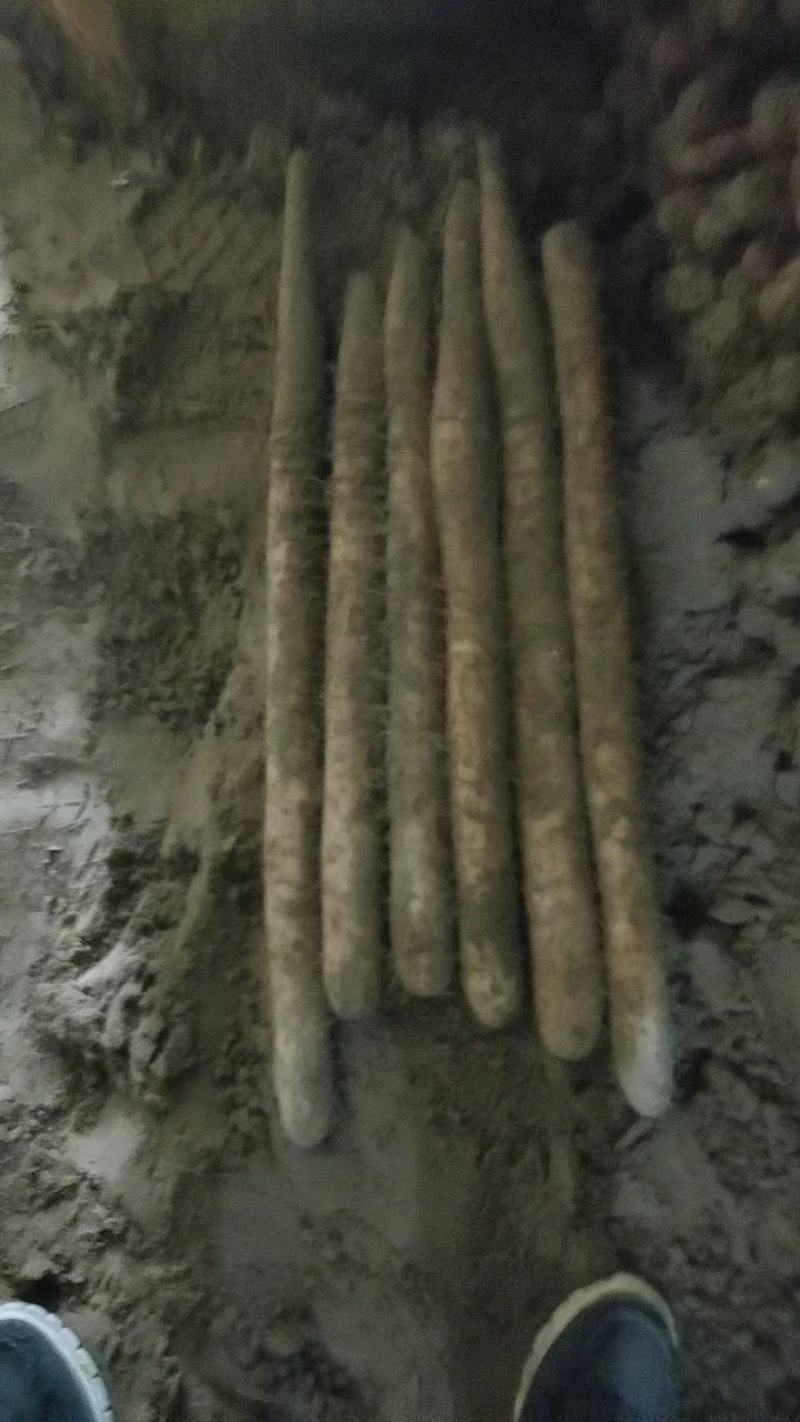 精品山药白玉山药，条形直，颜色好，特别粉，纯沙地