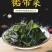 裙带菜十成干裙带菜无沙无黄叶质量上乘一手货源批发经营