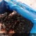 裙带菜十成干裙带菜无沙无黄叶质量上乘一手货源批发经营