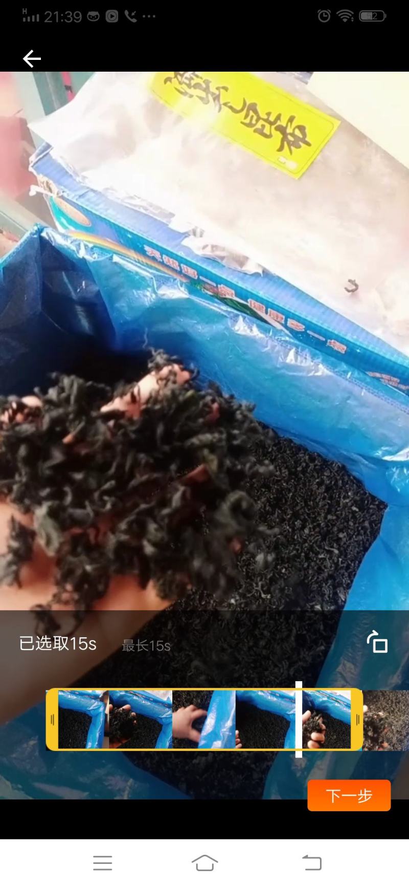 裙带菜十成干裙带菜无沙无黄叶质量上乘一手货源批发经营