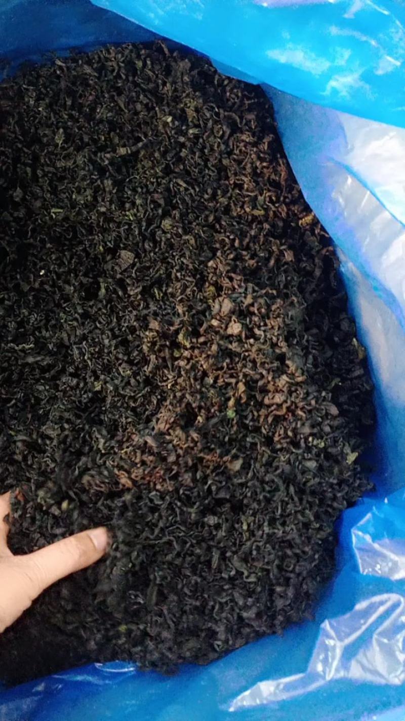 裙带菜十成干裙带菜无沙无黄叶质量上乘一手货源批发经营
