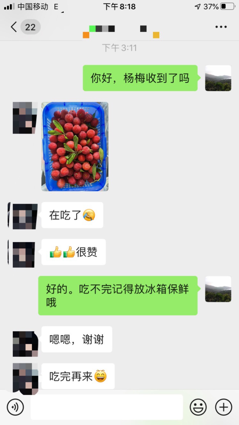 早杨梅现摘现发口感酸多甜少孕妇解馋支持一件代