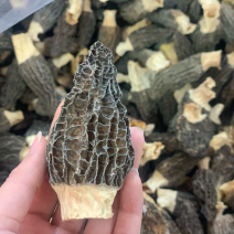 羊肚菌当季干货鲜货量大从优一手货源量大从优