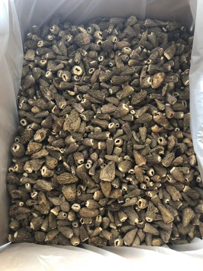 羊肚菌当季干货鲜货量大从优一手货源量大从优
