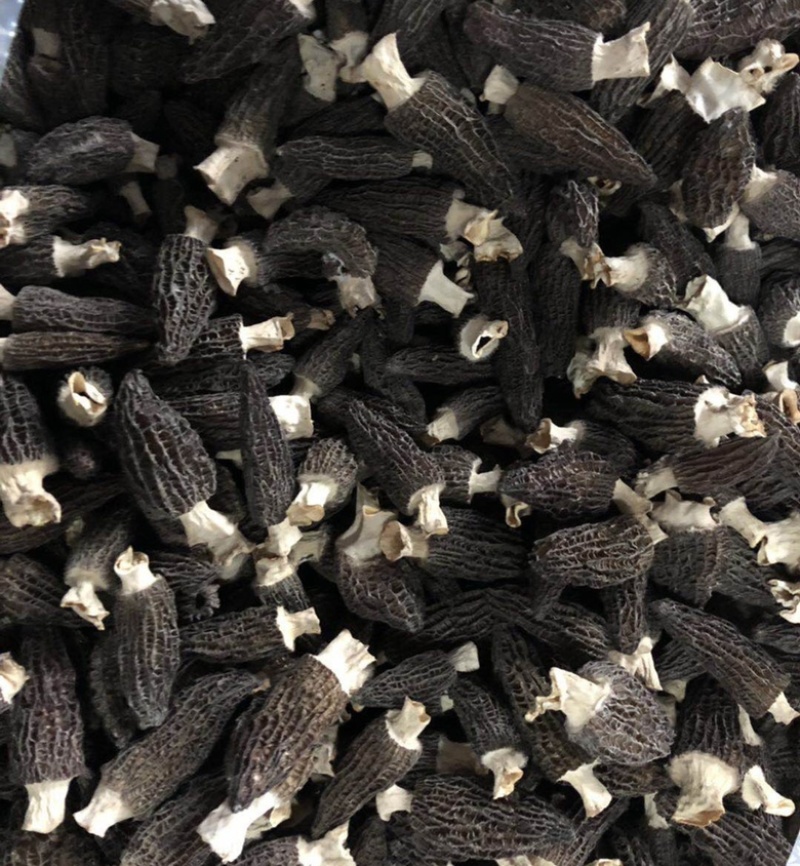 羊肚菌当季干货鲜货量大从优一手货源量大从优