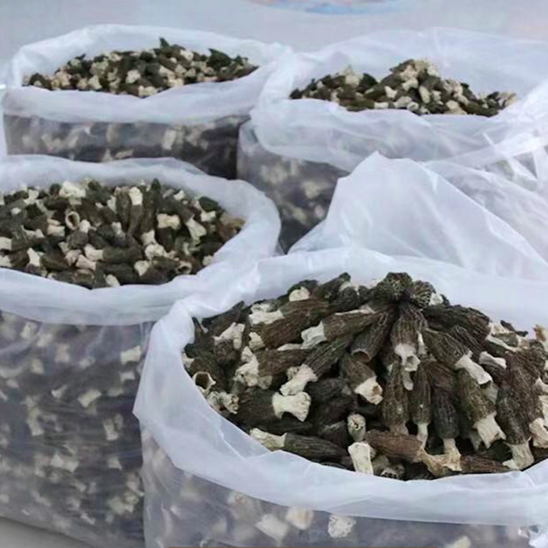 羊肚菌当季干货鲜货量大从优一手货源量大从优