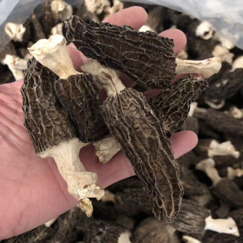 羊肚菌干货批发蘑菇散装足干菌汤包用头茬剪柄食用菌食材河南