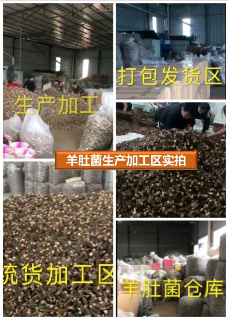羊肚菌干货批发蘑菇散装足干菌汤包用头茬剪柄食用菌食材河南
