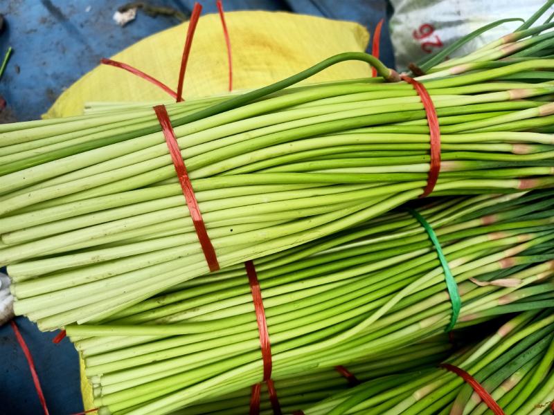 【精品蒜苔】山东蒜苔，代发货山东蒜苔，平邑蒜苔，长度30