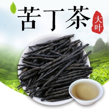 海南正宗大叶苦丁特级新茶非减云南贵州苦丁茶叶肥大肚腩批发