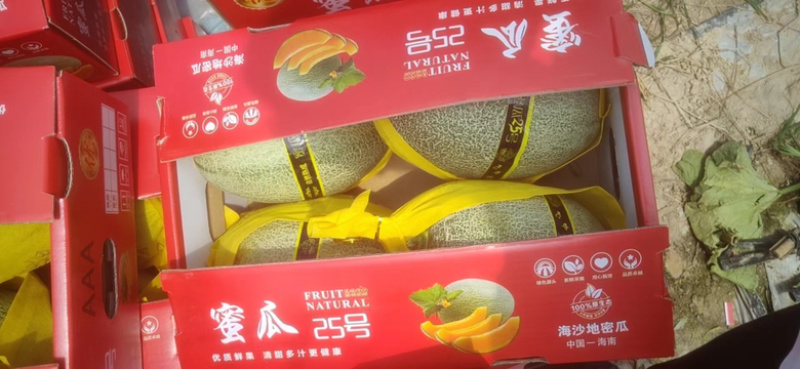 【推荐】哈密瓜、小蜜25、小蜜瓜对接各大电商平台各大市场