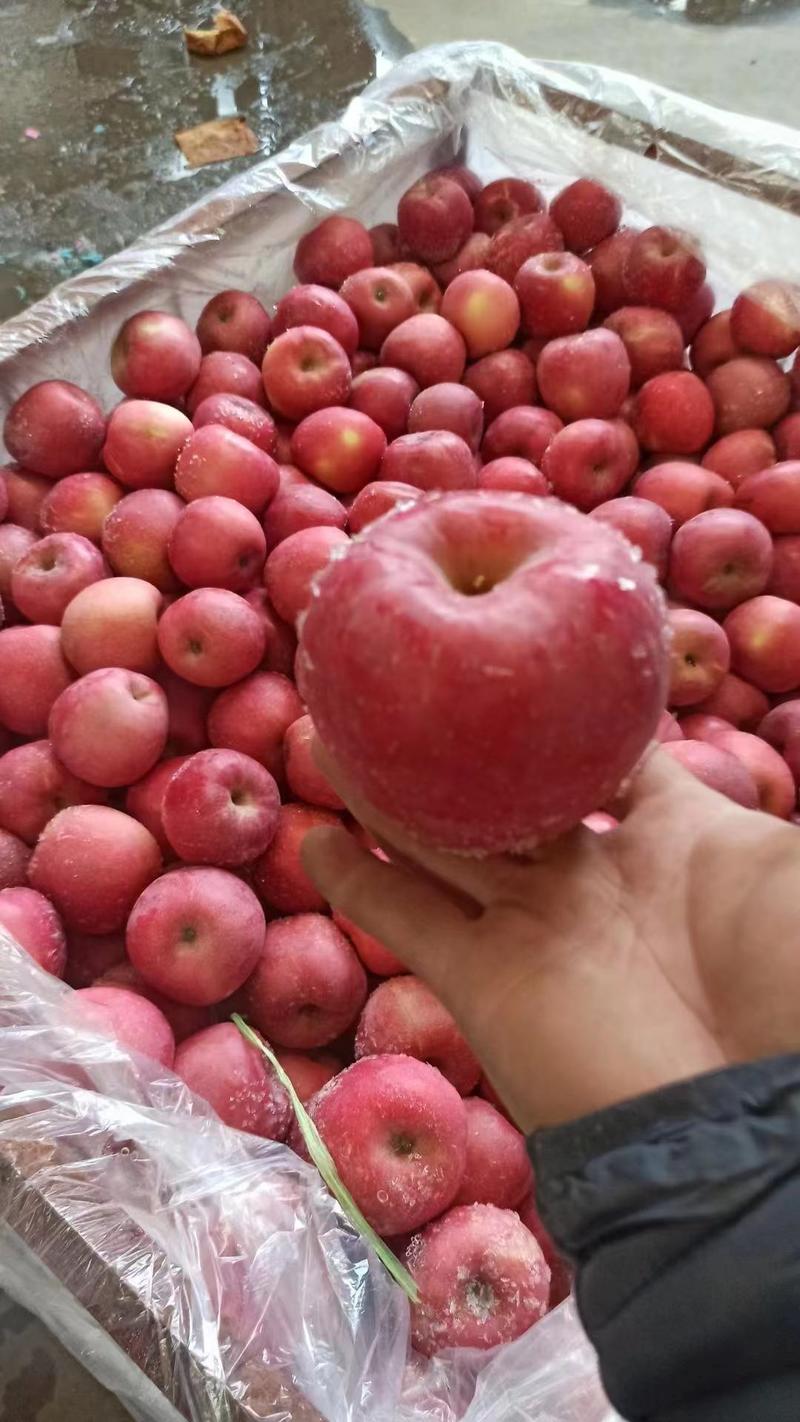 红富士苹果产地批发货源足价格低质量好有需要的老板联系