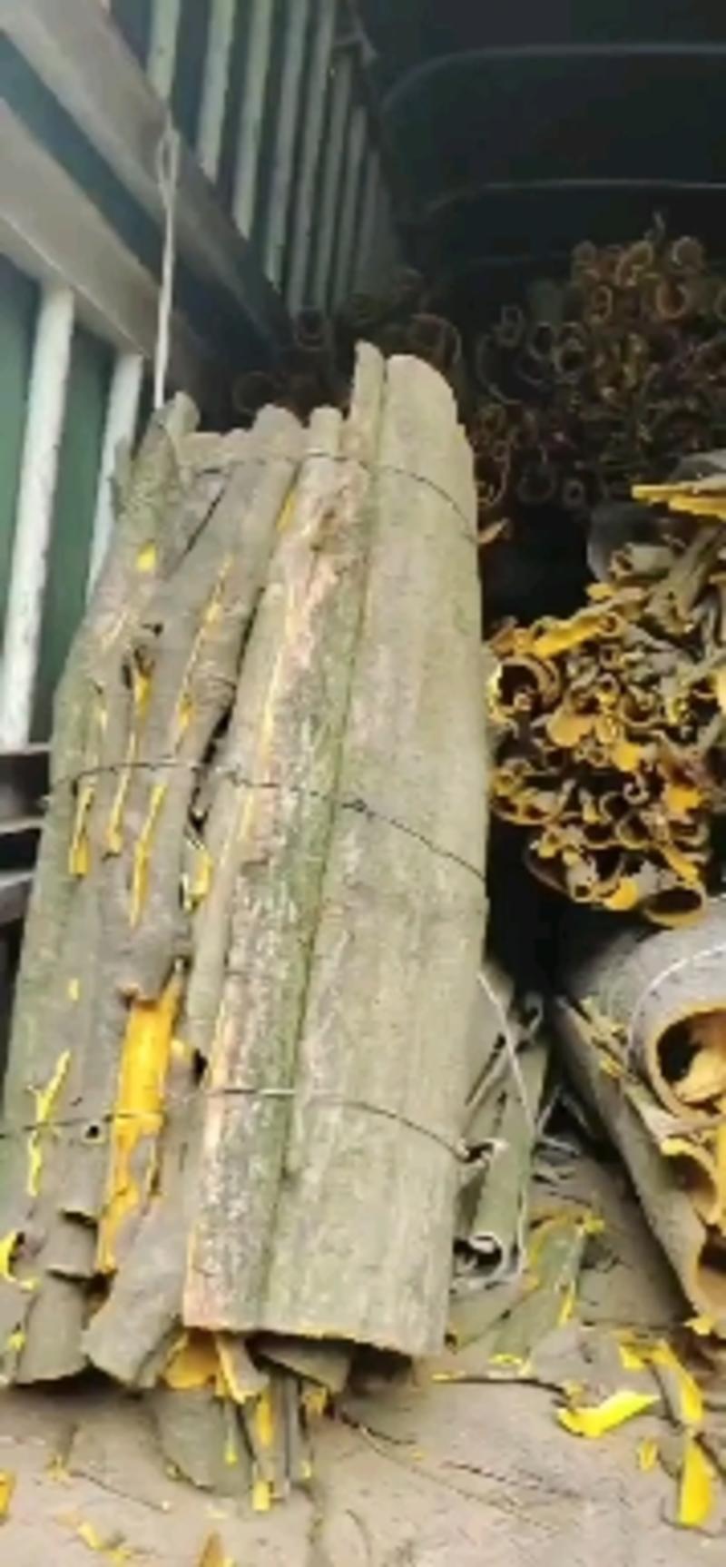 贵州产地中药材黄柏皮黄柏树单面黄两面黄黄柏树皮
