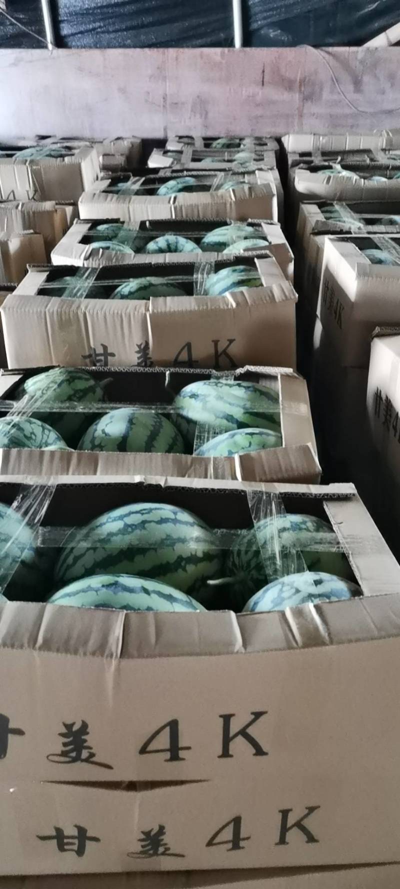 精品甘美4k西瓜，瓜甜糖度高，肉嫩皮薄，皮色靓丽全国发货