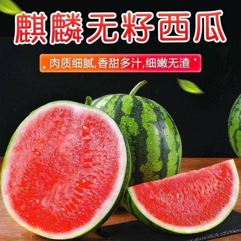 精品甘美4k西瓜，瓜甜糖度高，肉嫩皮薄，皮色靓丽全国发货