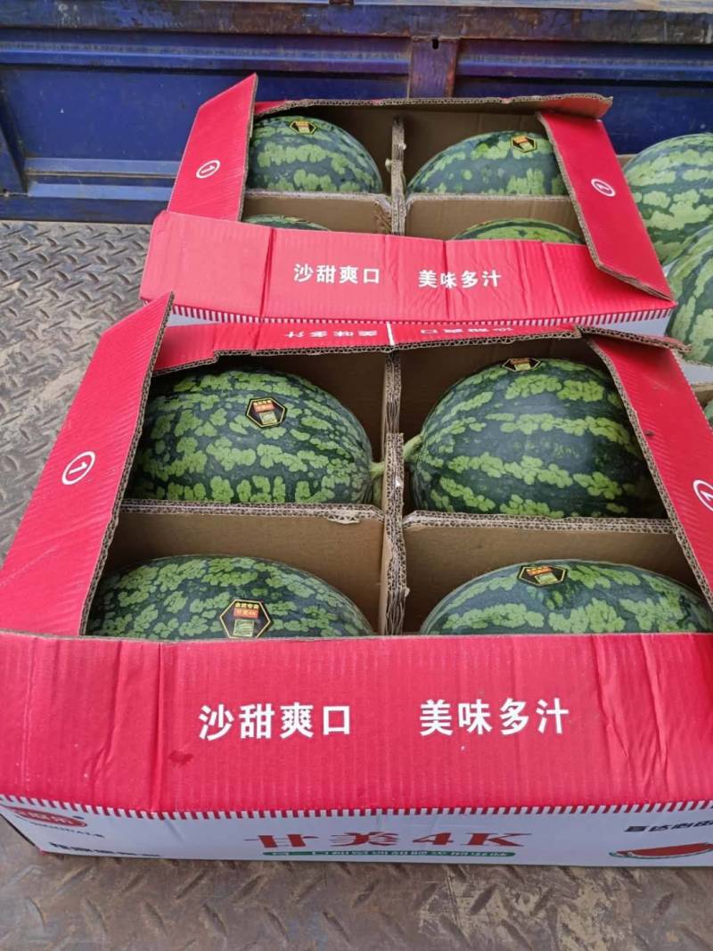 精品甘美4k西瓜，瓜甜糖度高，肉嫩皮薄，皮色靓丽全国发货
