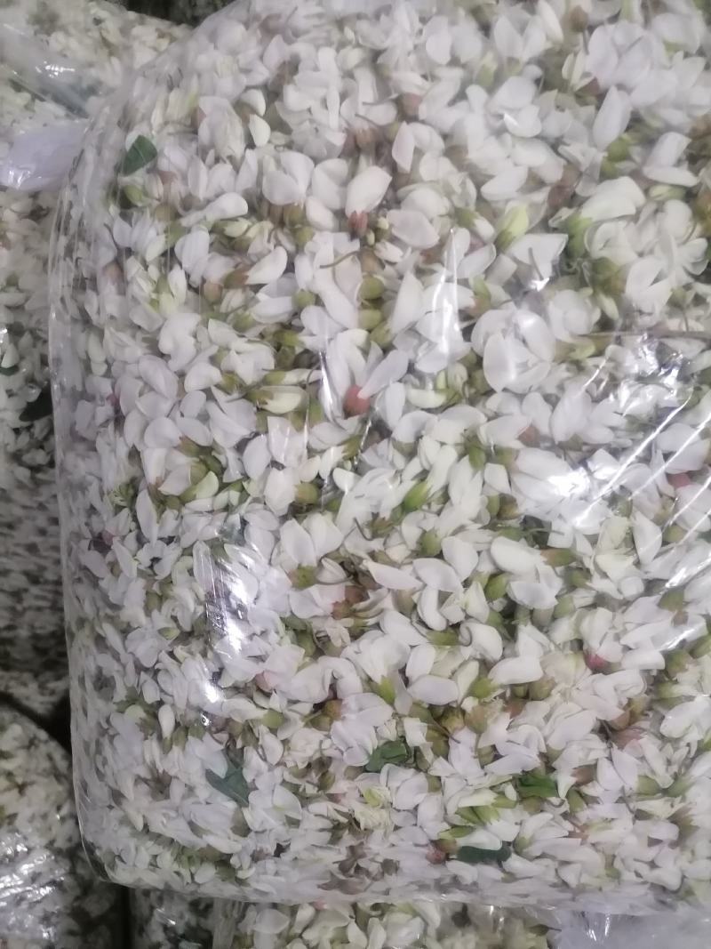 槐花，将开的槐花
