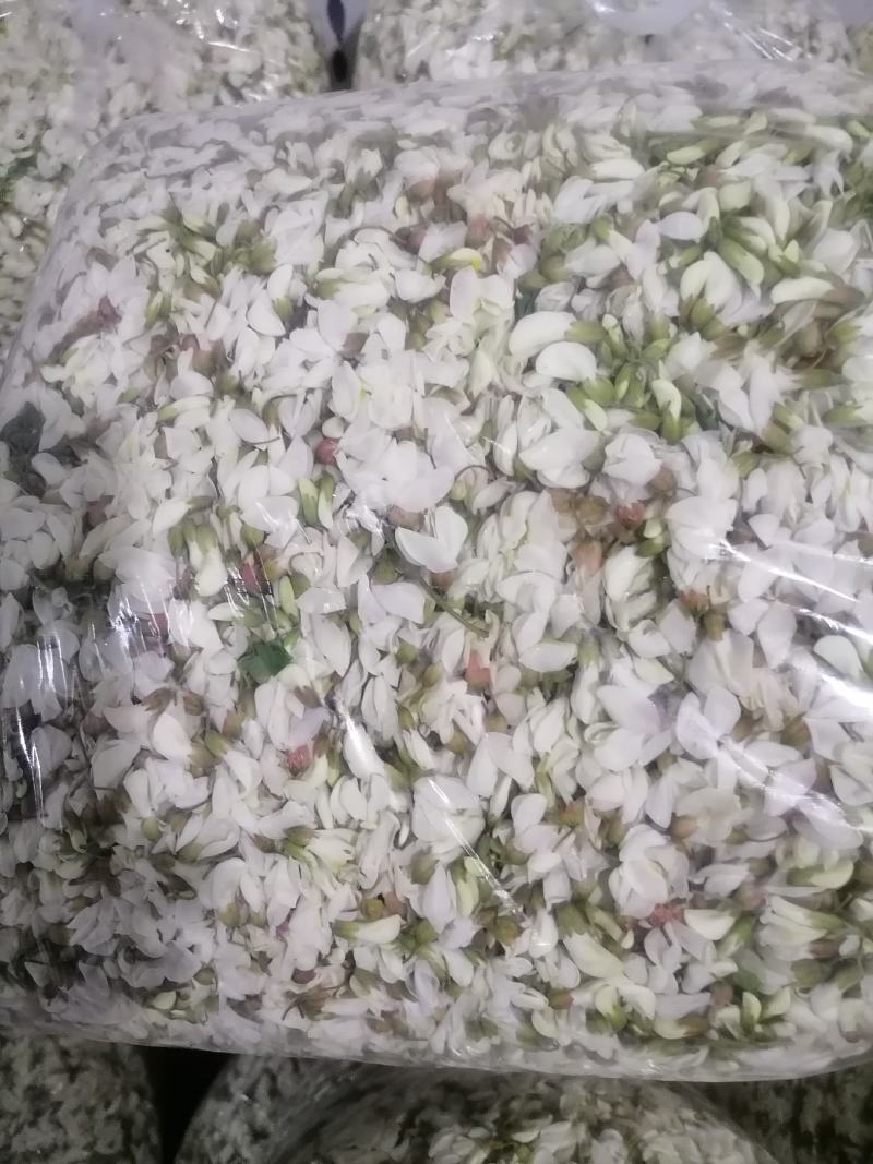 槐花，将开的槐花